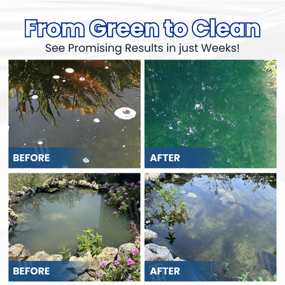 Simpleahaven® | ✨ From Green to Clean Overnight! |⏱️ Crystal Clear in 24 Hours!